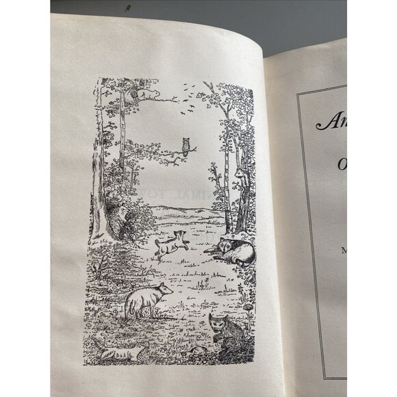 Animal Ttown and other Rhymes Margaret AFassite 1923 John Winston CO RARE Kids - Picture 15 of 16